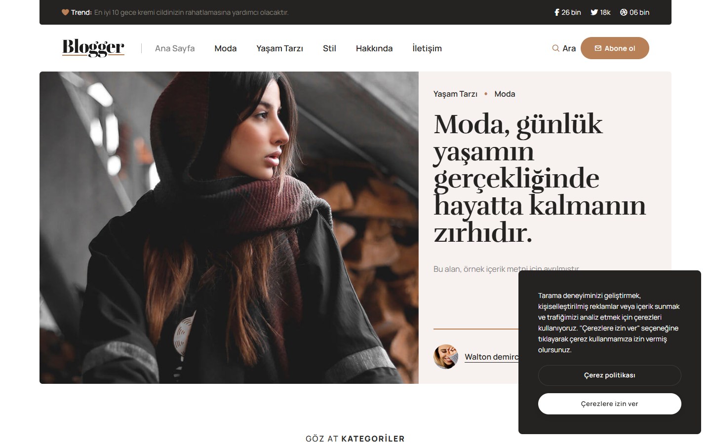 Blog Yazarı tema önizlemesi